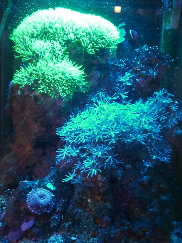 ヤバい！の一言。