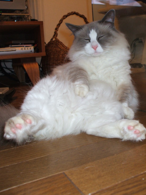 座ってる、、、