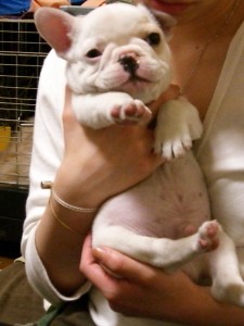 この顔にやられた〜