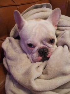 冬の寝る時の定番型。