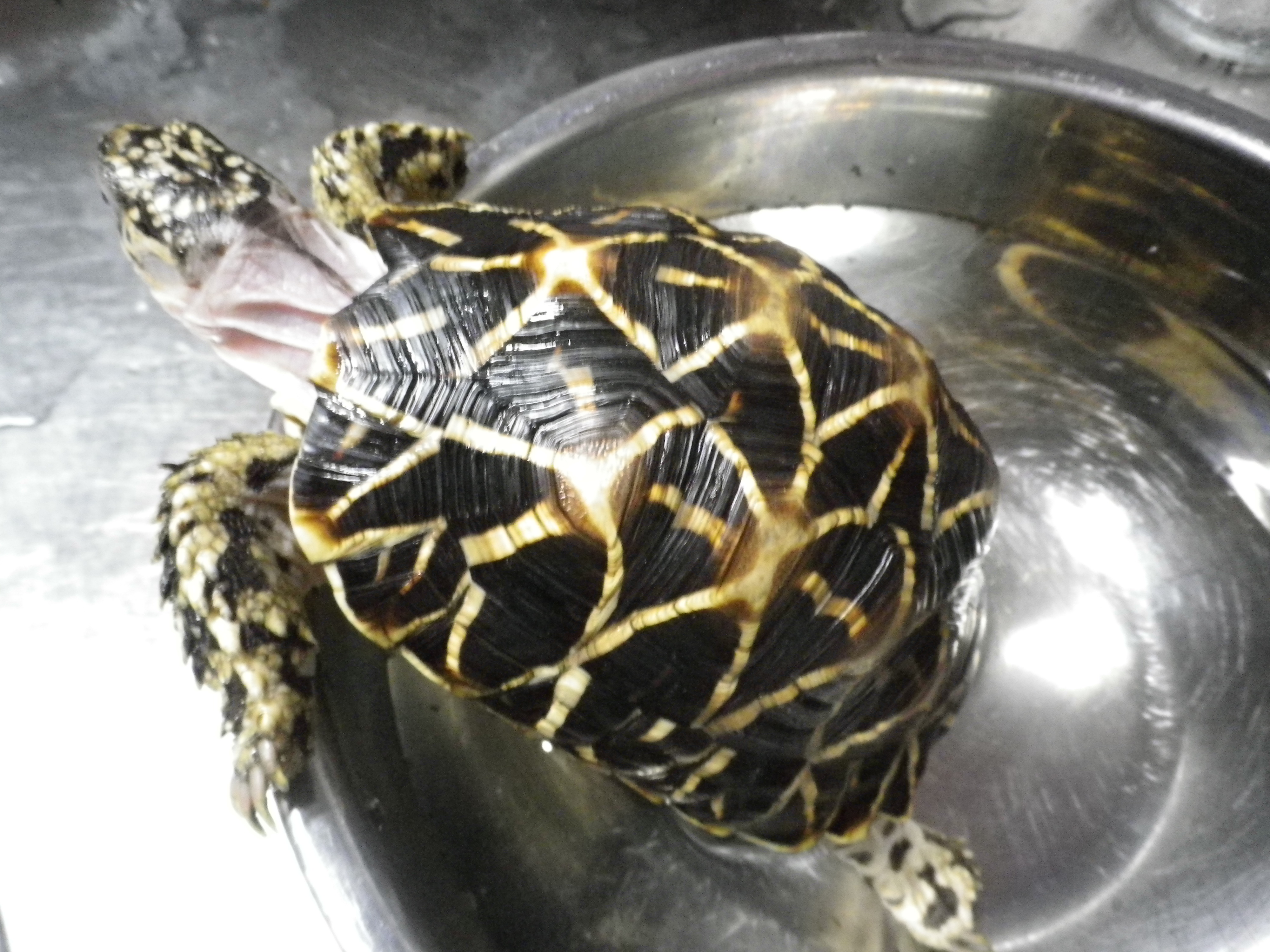 気持ちいいんだか、出たいんだか。。。。