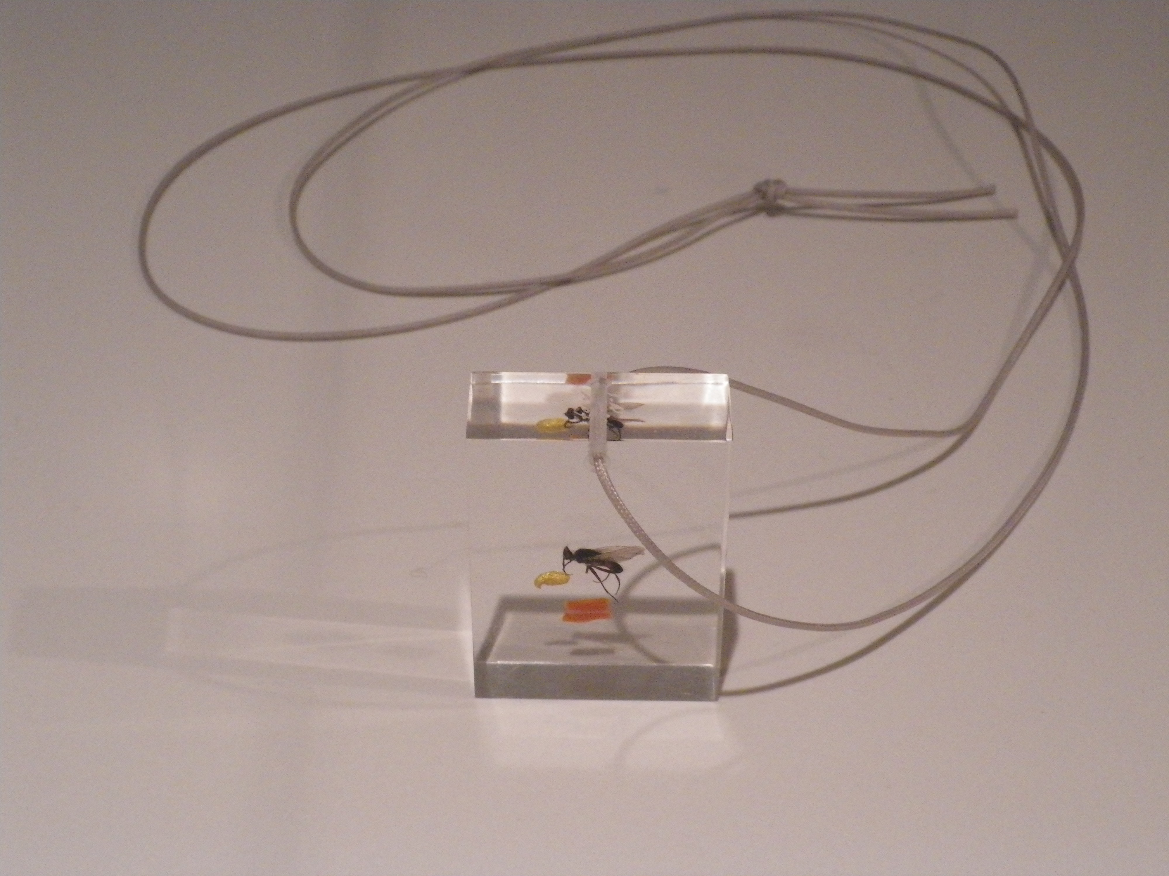 美しいの一言！