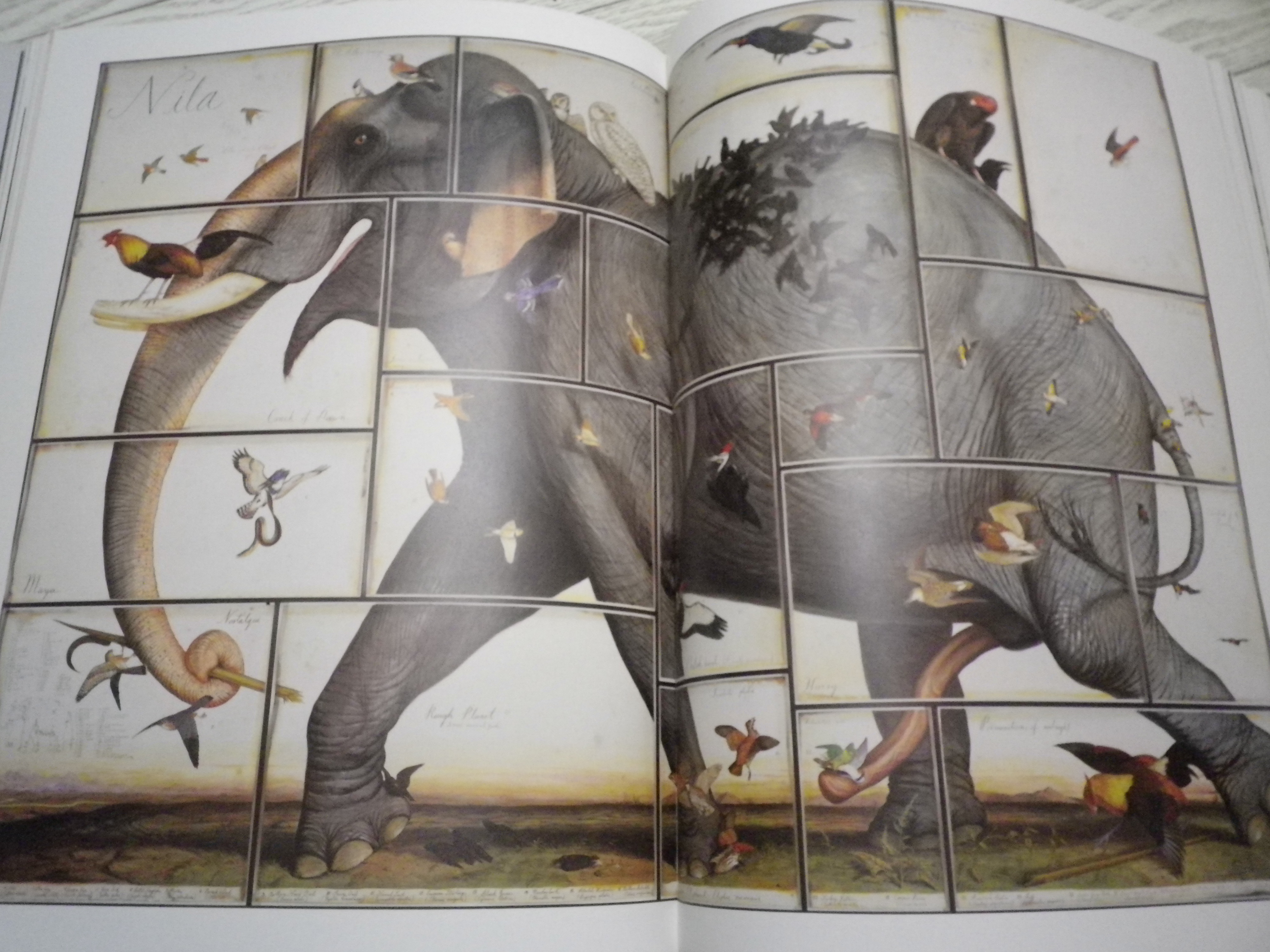 中でも好きな一枚！