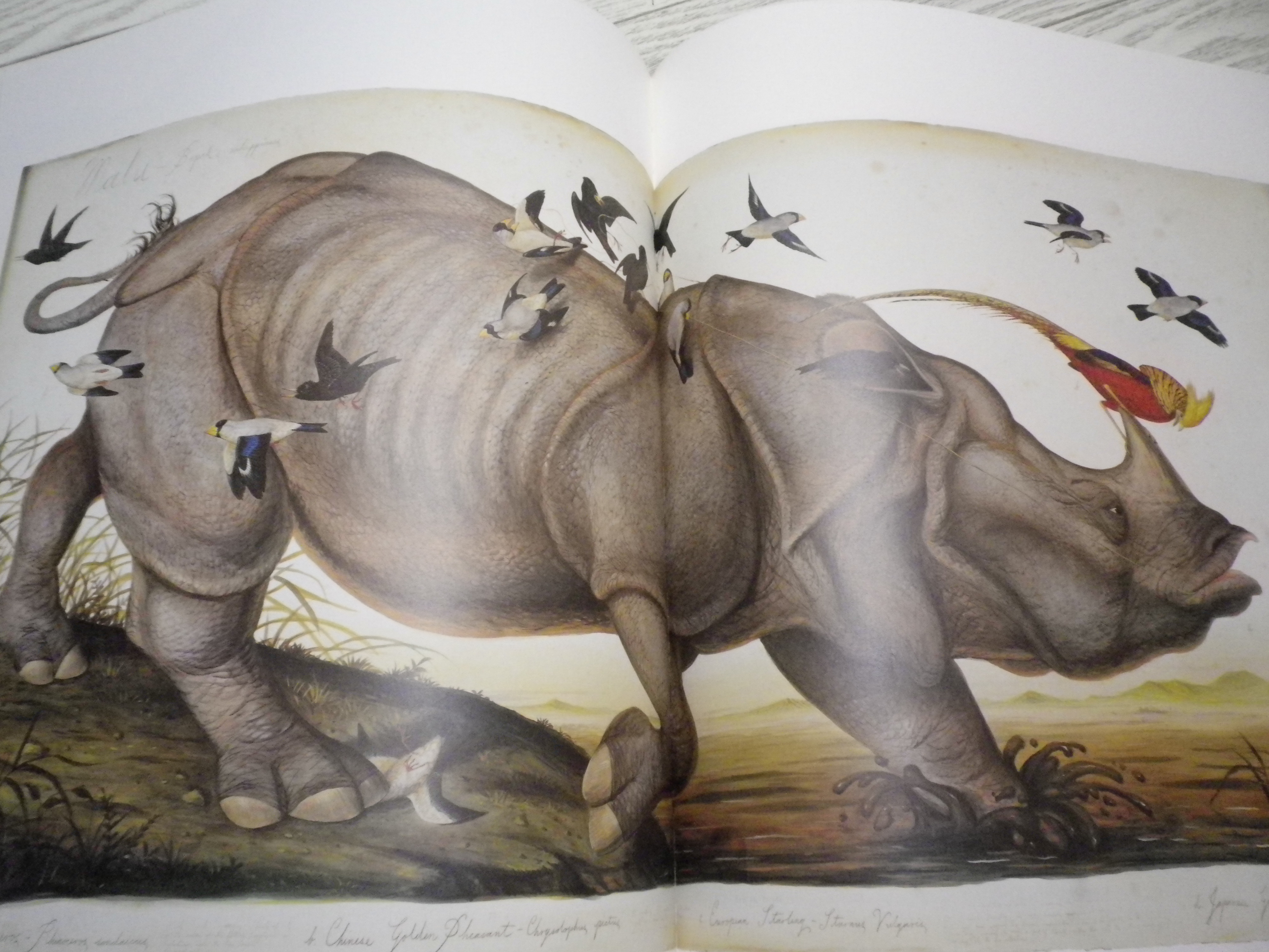 リアルな描写にびっくり