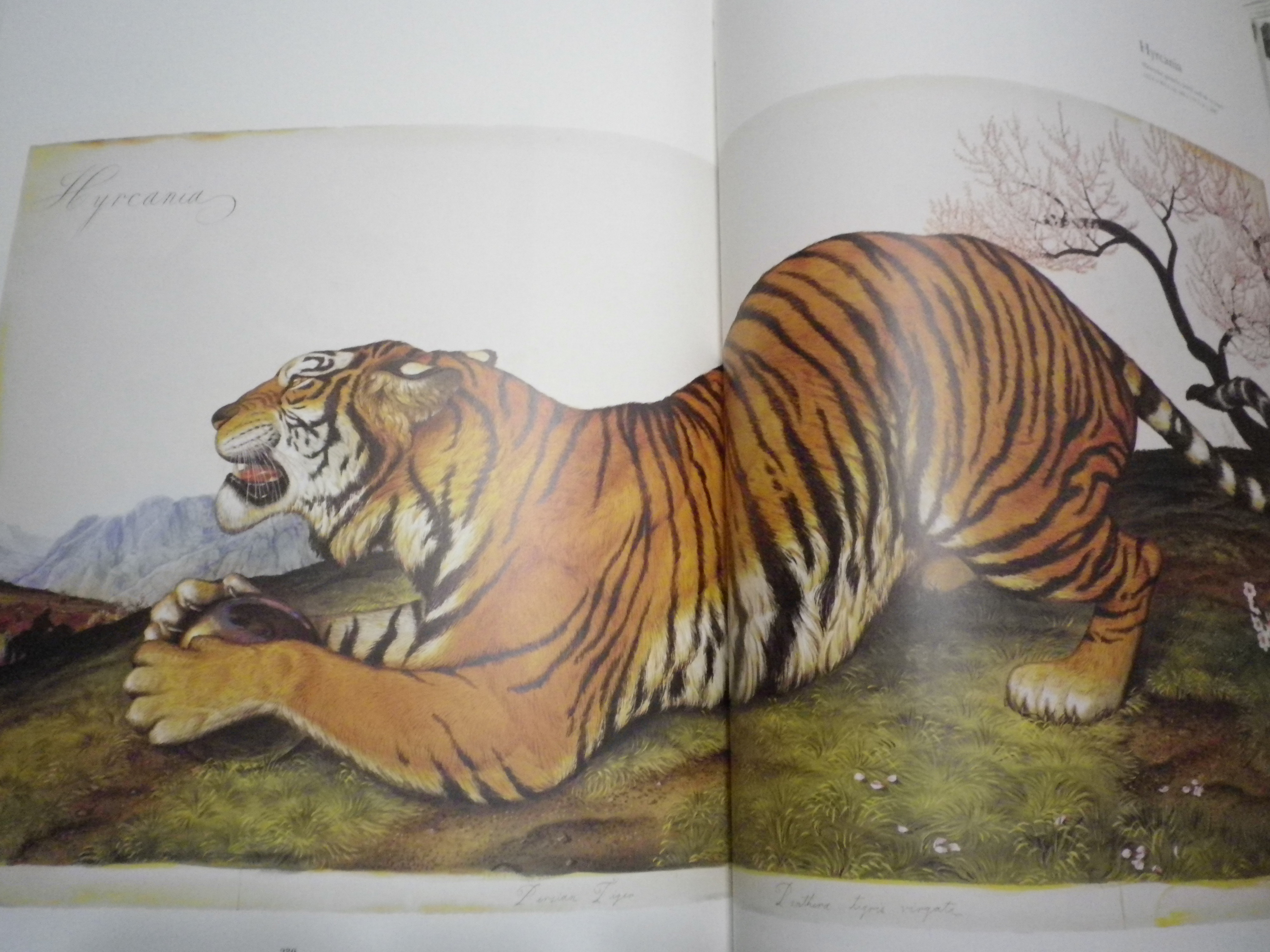 この構図はかなり好き。