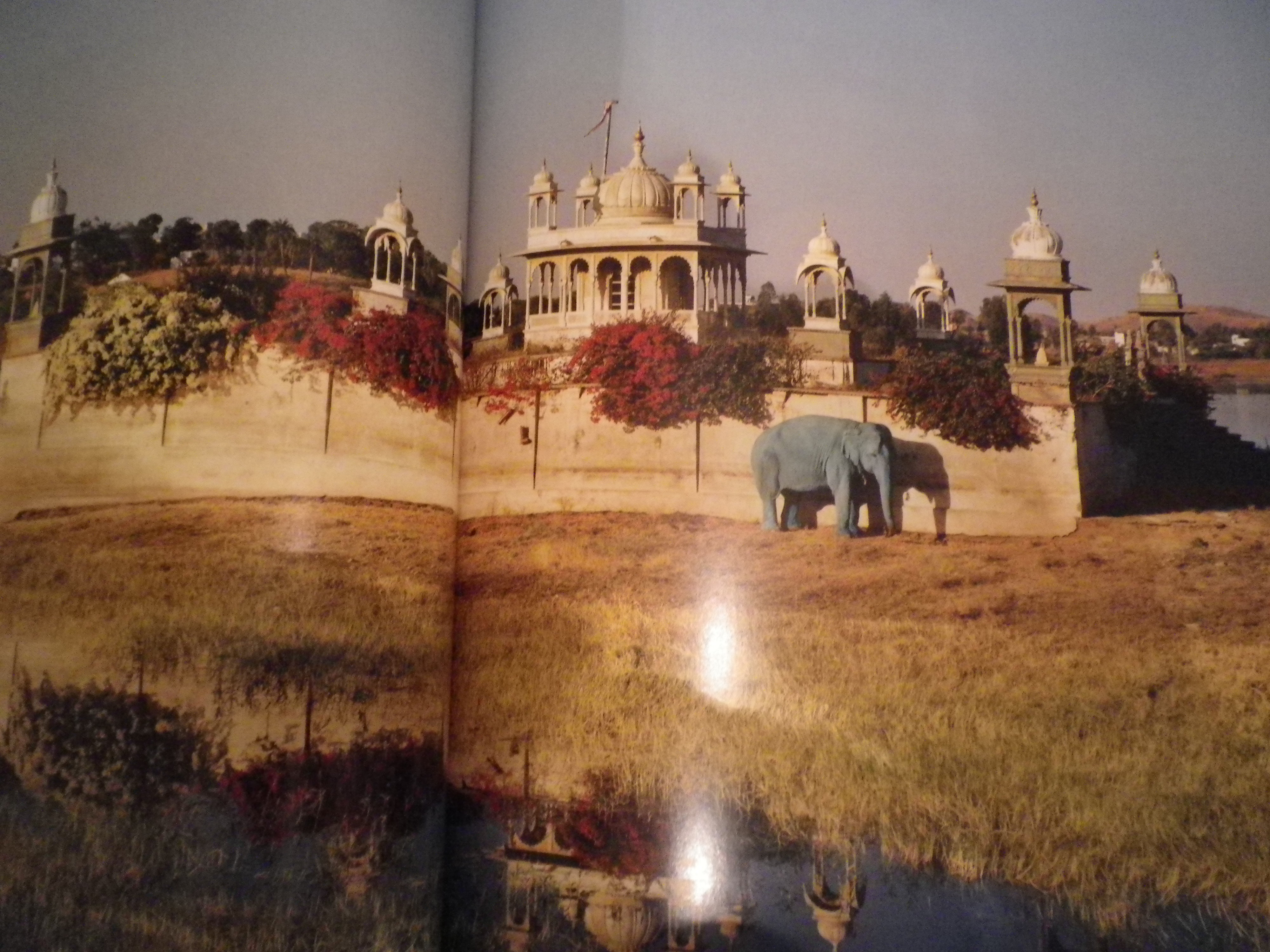 象が水色。。。