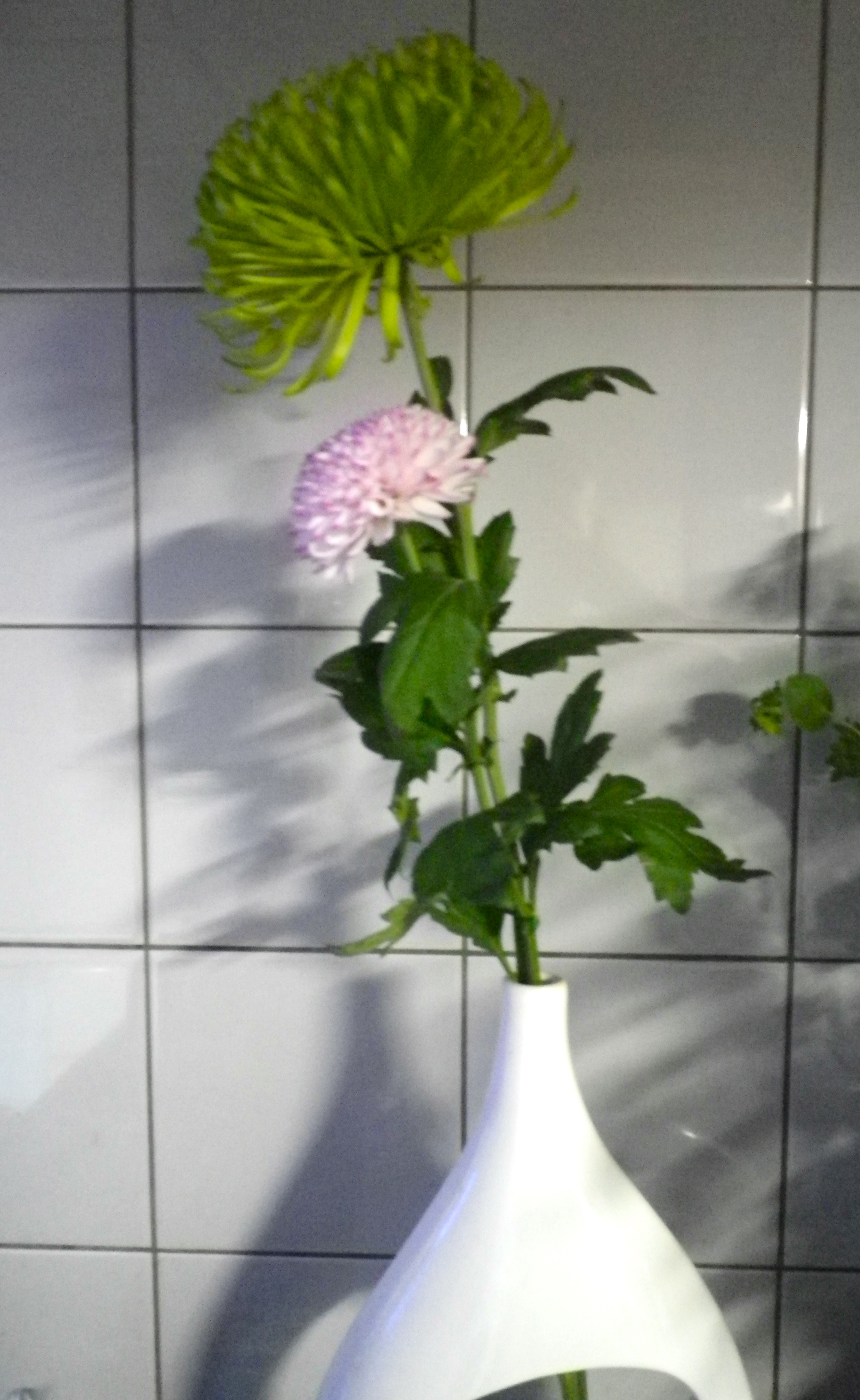 清らかな感じがしますよね、、