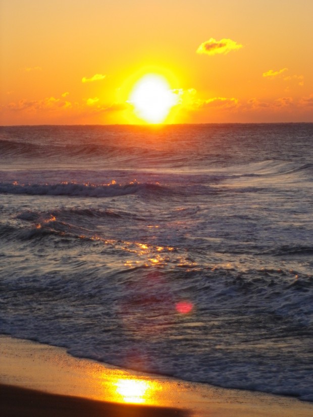 ゴッホみたいだ,,,,,, ゴッホみたいだ,,,,,,