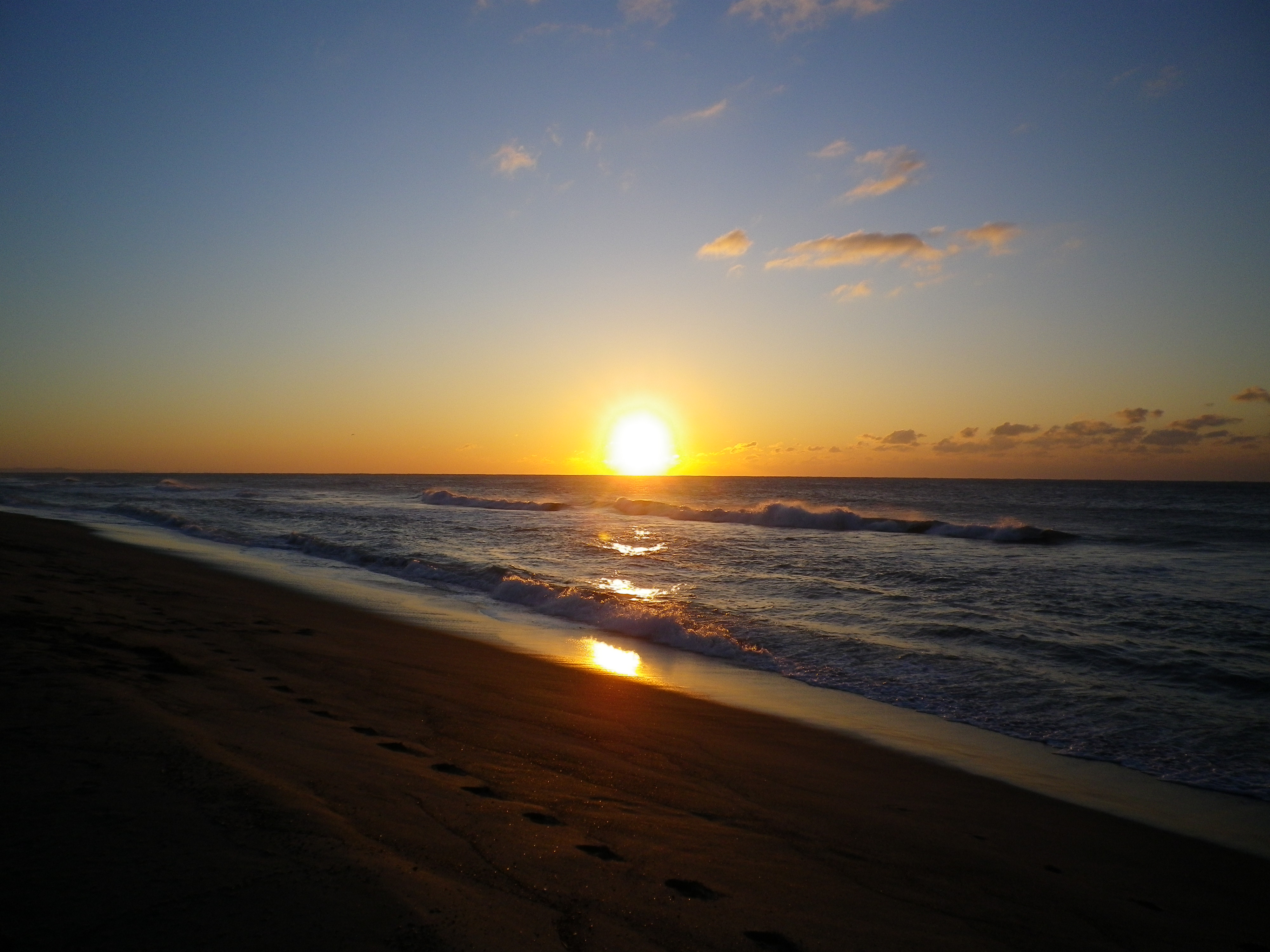 出た〜!! 出た〜!!