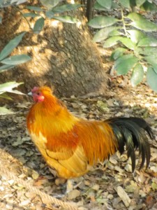 このラインが好きなんだなぁ...