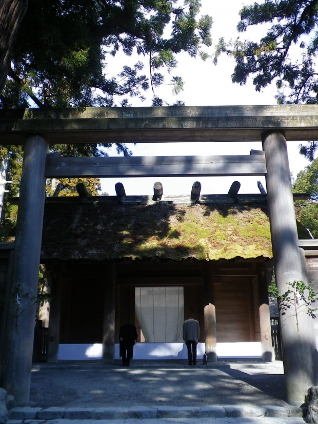 本当の中心部分が気になるなぁ,,,,,