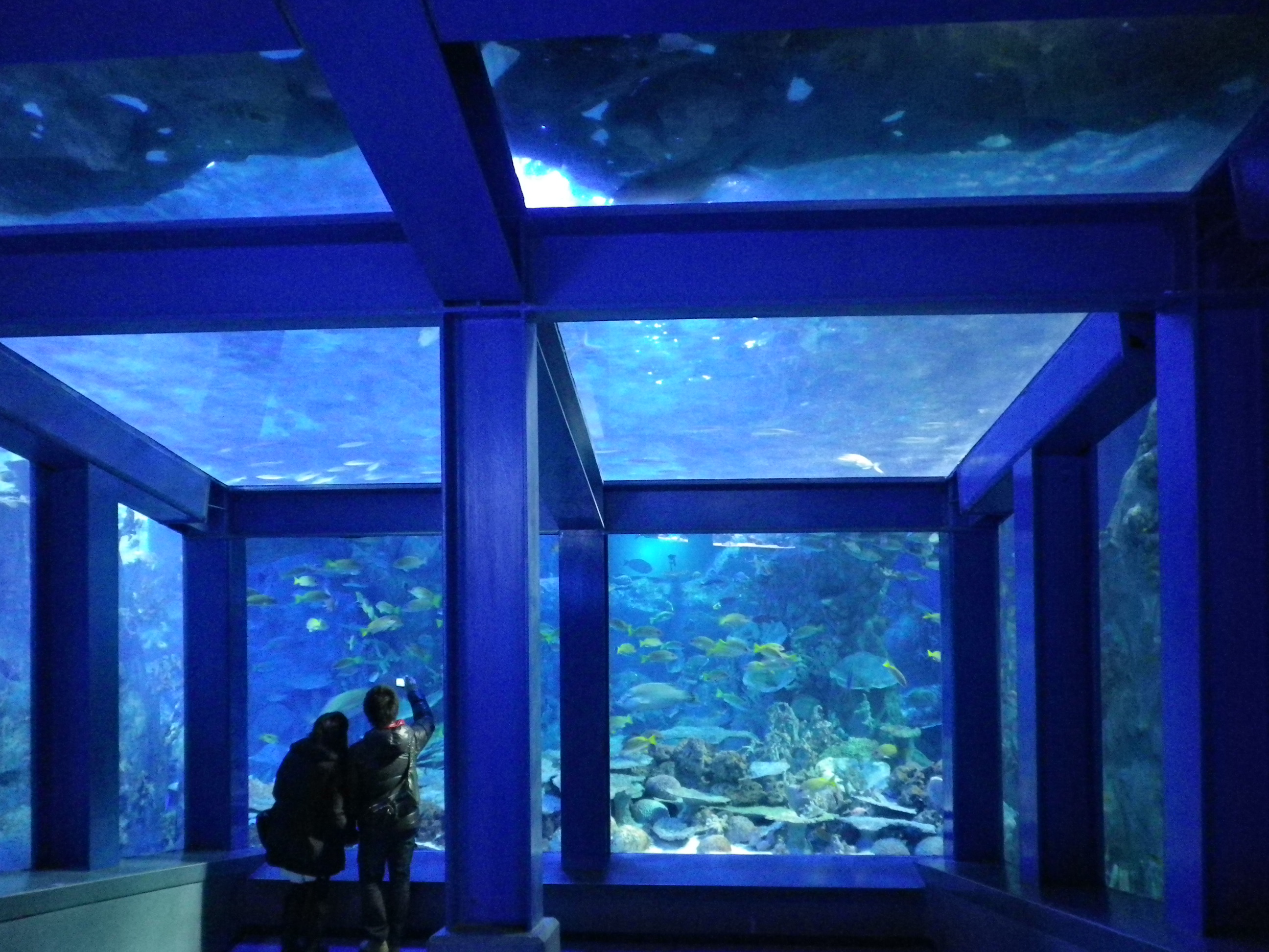 洞窟風だったり,,,,