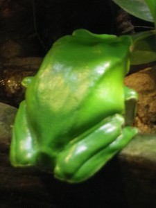 この何とも言えないカラー。。