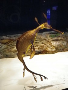 このバランス!大好きです！