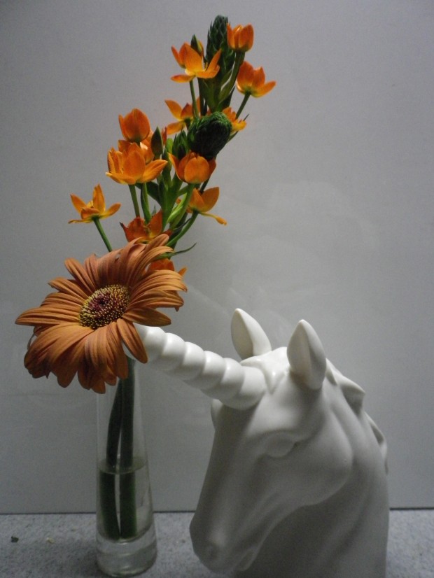 オレンジって春を感じる.....