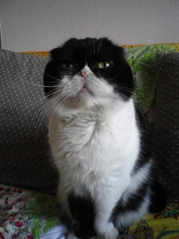 何処を見てるんだい,,,,,,? 何処を見てるんだい,,,,,,?