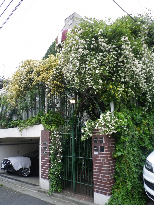 外国の家みたい......