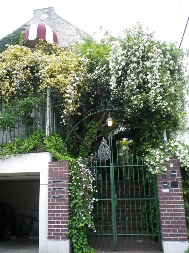 す、す、凄い。。。