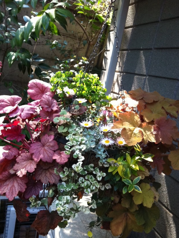 全部で10種類前後,,,,,,,,,